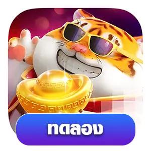 Fortune-Tiger